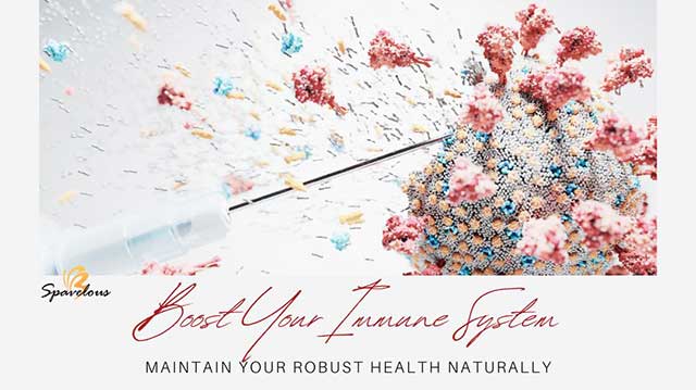 daily habits to boost your immune system