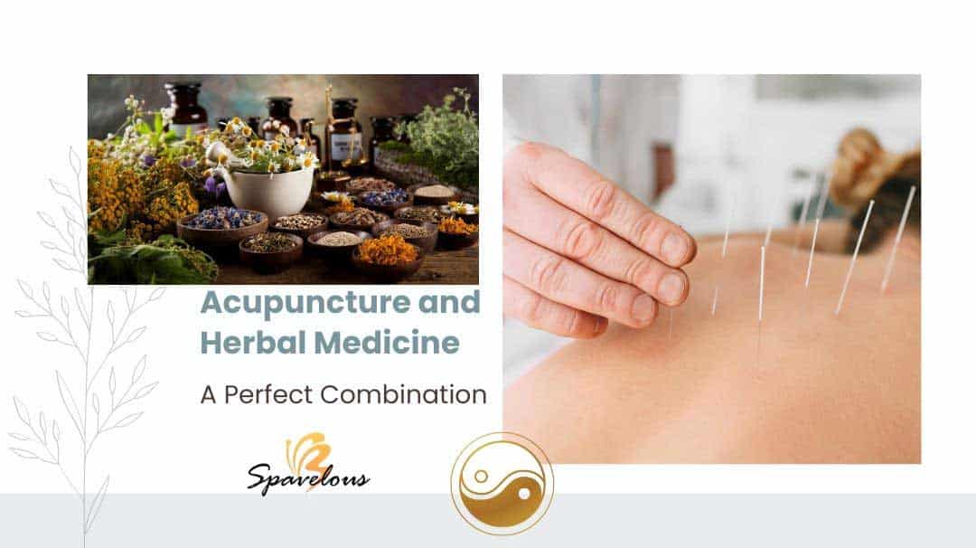 acupuncture and herbal medicine