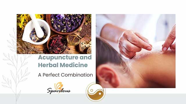 scientific evidence supporting the combination of acupuncture and herbal medicine