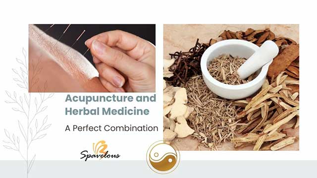 synergy of acupuncture and chinese herbal medicine