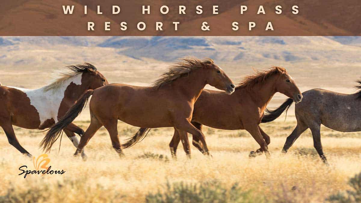 summer spa deals wild horse pass resort & spa