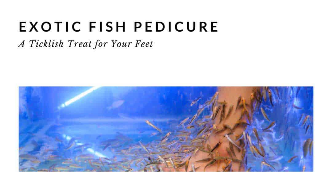 exotic fish pedicure