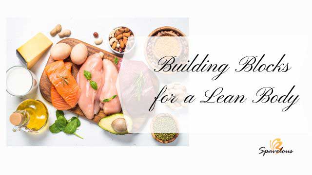 building blocks for a lean body