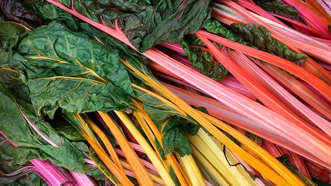 healthy fall vegetables chard
