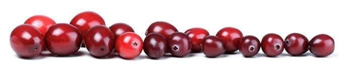 cranberry anti-oxidant