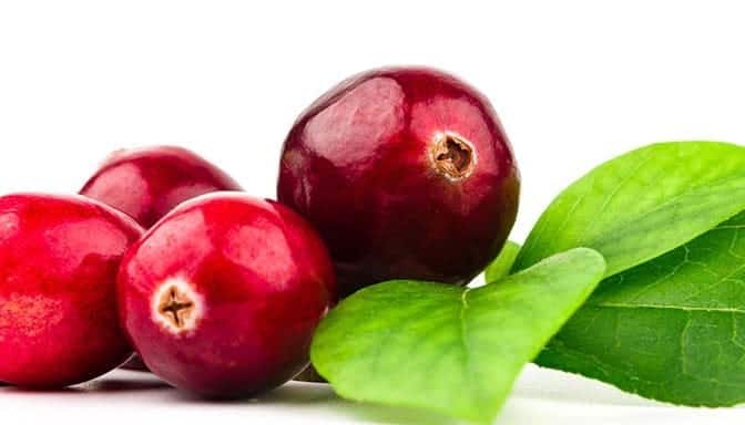cranberry antioxidants