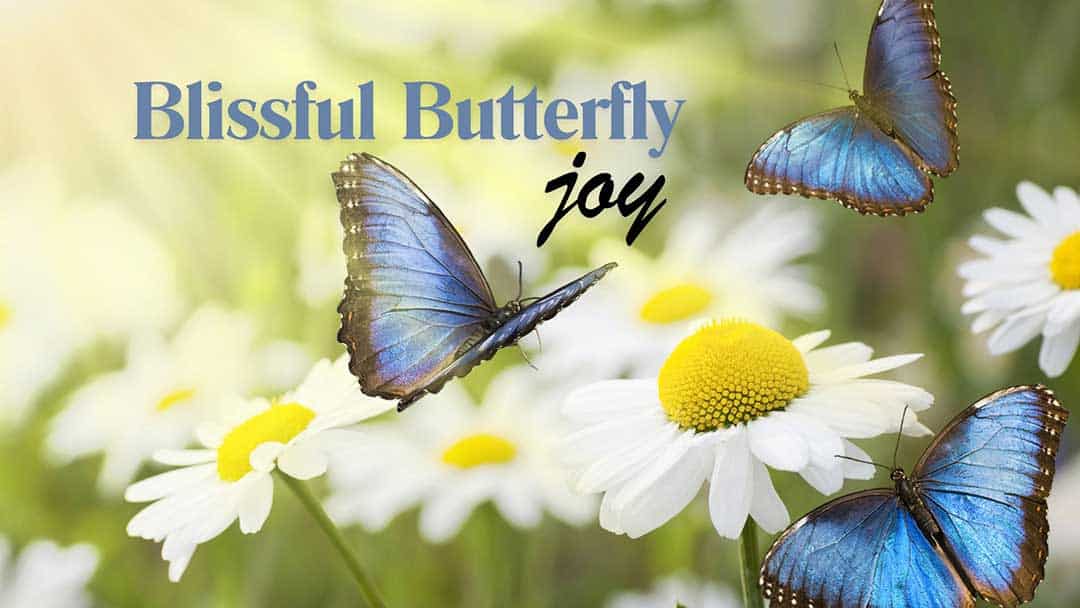 blissful butterfly joy