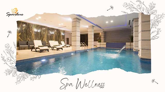 introduction to spas