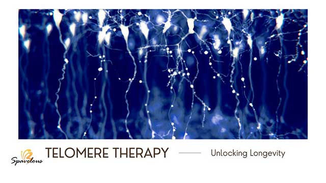 ethical considerations in telomere therapy