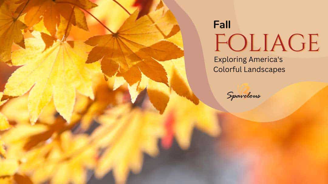 fall foliage 2025 adventures