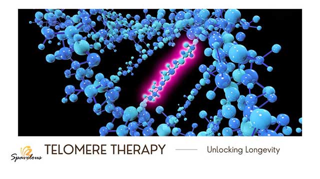 telomere length as a biomarker of aging