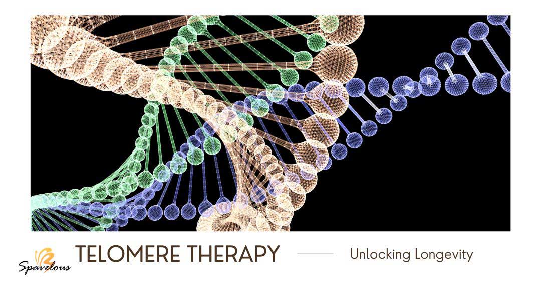 telomere therapy