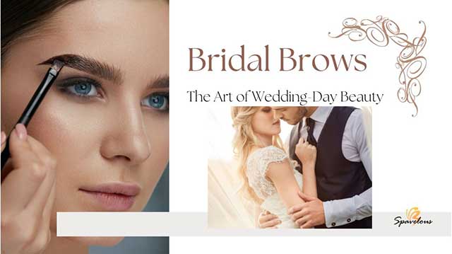 the bridal brow timeline