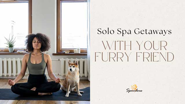 dog-friendly spa retreats for solo travelers