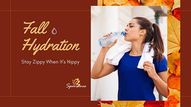 fall hydration action plan