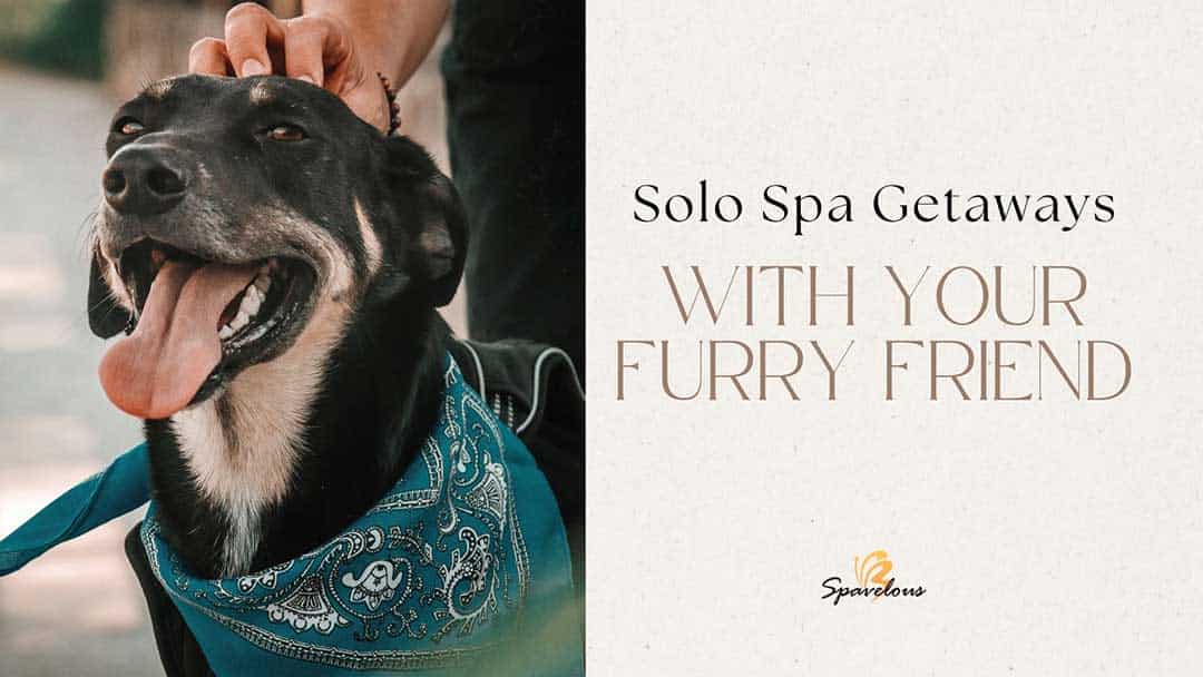 solo spa getaways with your dog