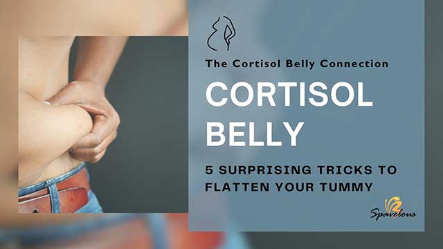 the cortisol belly connection