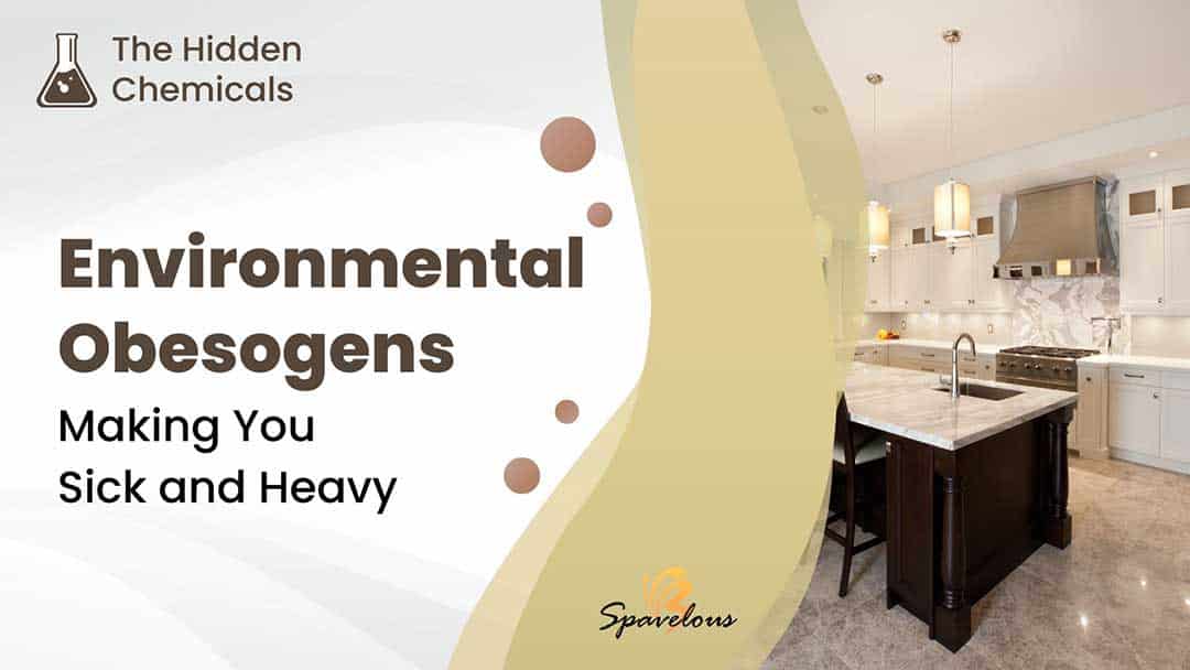 environmental obesogens