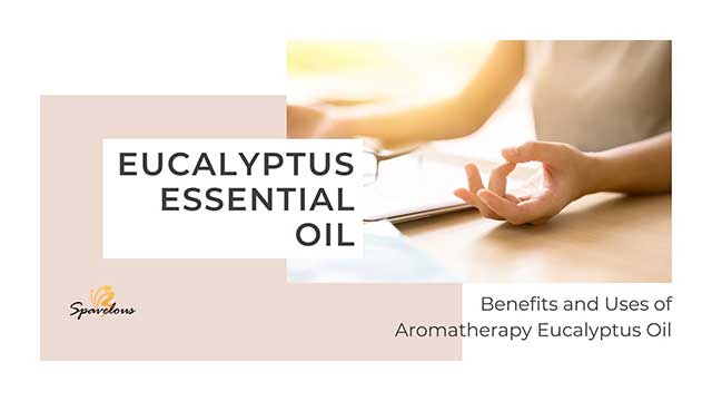 eucalyptus essential oil: uses and applications