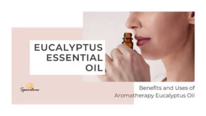 eucalyptus essential oil for wellness