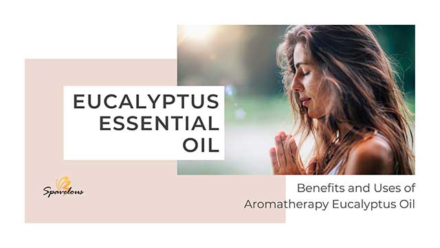 introduction to eucalyptus essential oil