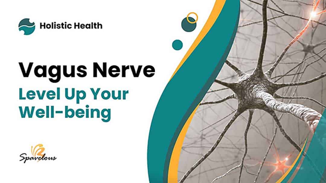 vagus nerve