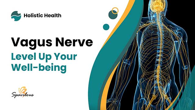 vagus nerve's influence on physical and mental health