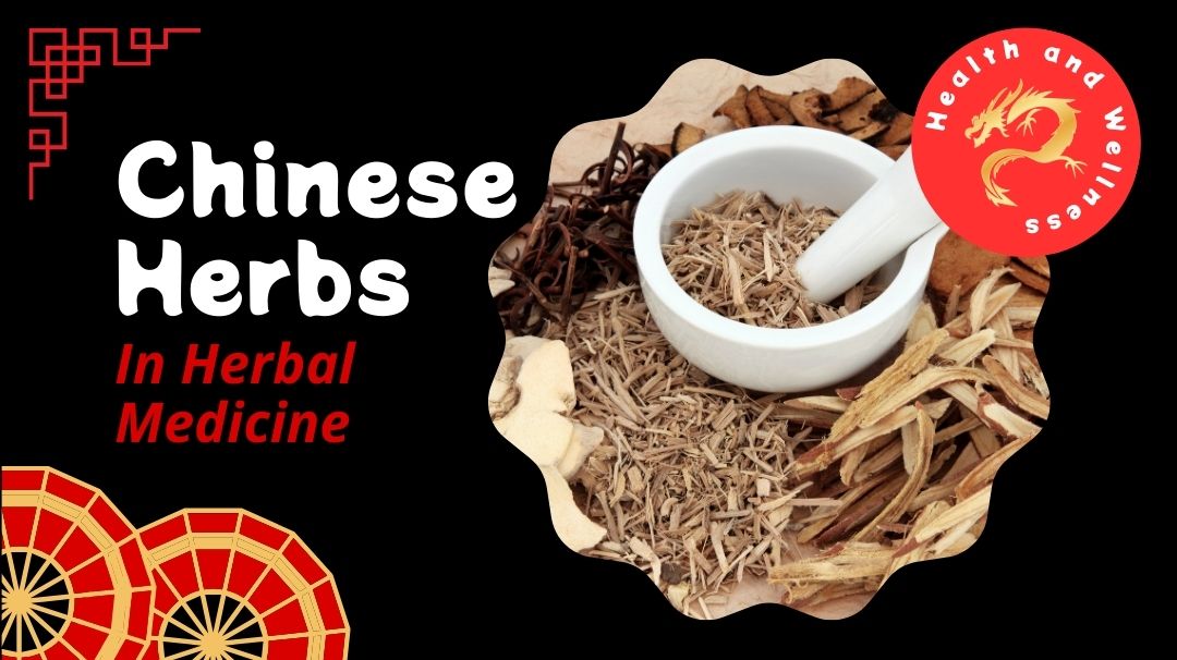 chinese herbs in herbal medicine