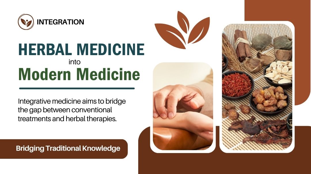 integrating herbal medicine into modern medicine