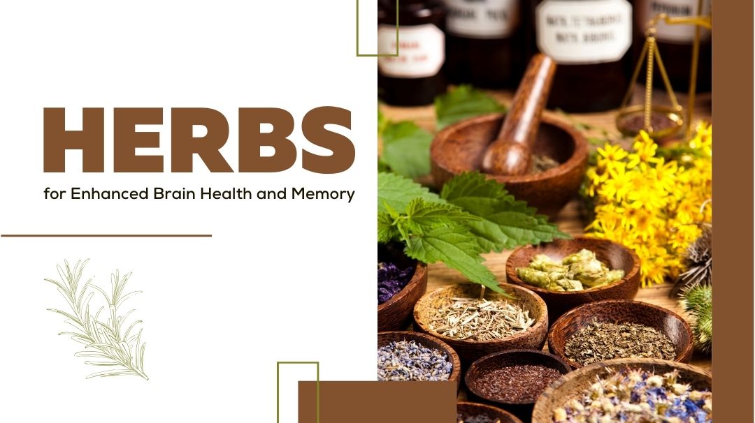 herbs for enhanced brain health and memory