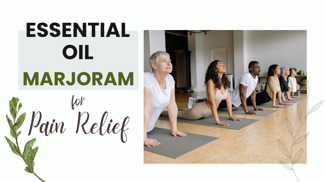marjoram essential oil for pain relief